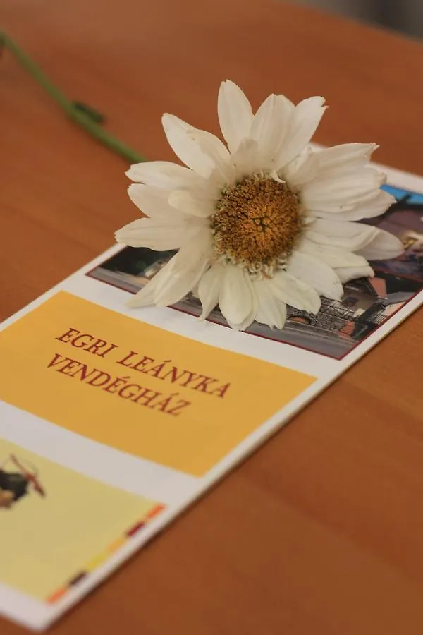 Egri Leanyka Vendeghaz Guest House